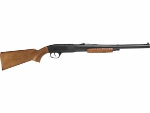 Winchester Model 12 Youth 177 Caliber BB Air Rifle For Sale